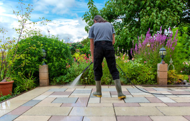 Best Fence Cleaning  in Tekamah, NE
